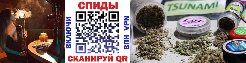 Бутират буратино Горно-Алтайск