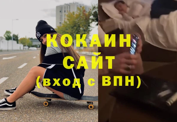 прущие грибы Белокуриха