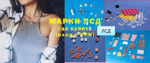 прущие грибы Белокуриха