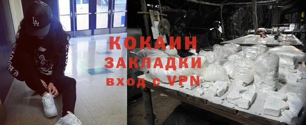 прущие грибы Белокуриха