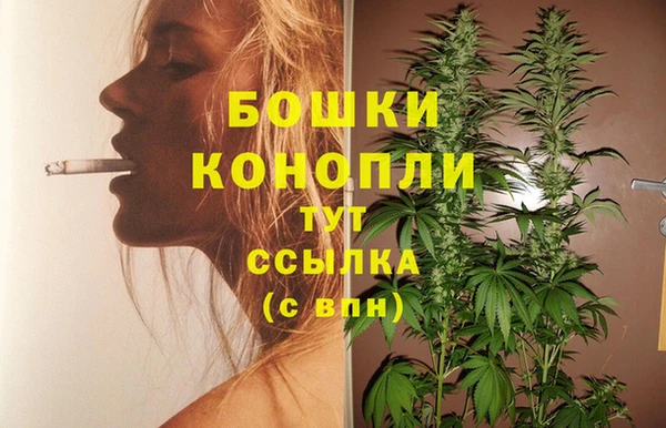прущие грибы Белокуриха