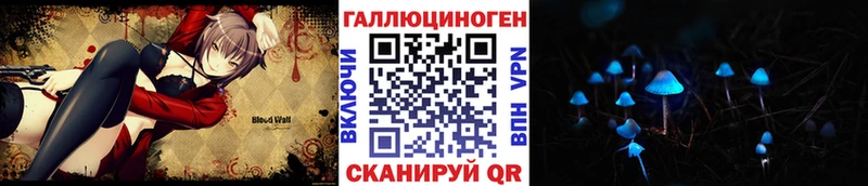 Галлюциногенные грибы Psilocybine cubensis Горно-Алтайск
