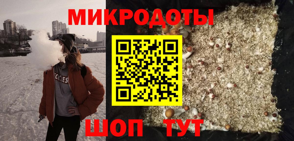 Псилоцибиновые грибы мухоморы  Вход с VPN  Горно-Алтайск 