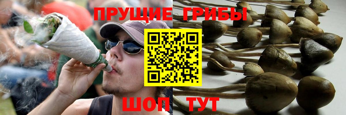 Псилоцибиновые грибы Magic Shrooms Горно-Алтайск