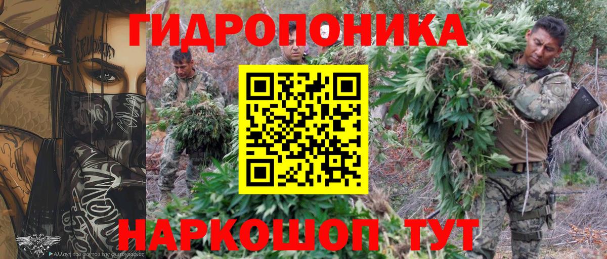 Шишки марихуана гибрид Горно-Алтайск
